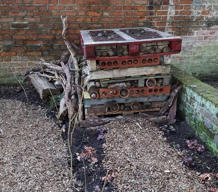 Our Bug Hotels are open for business!