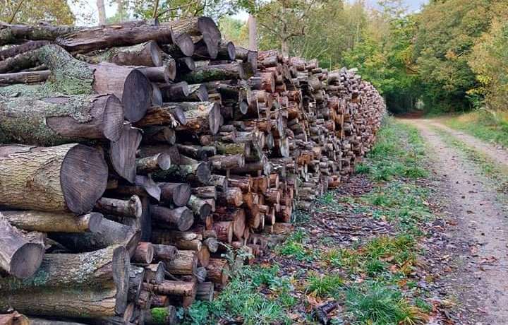 Christmas Firewood Deliveries 2021