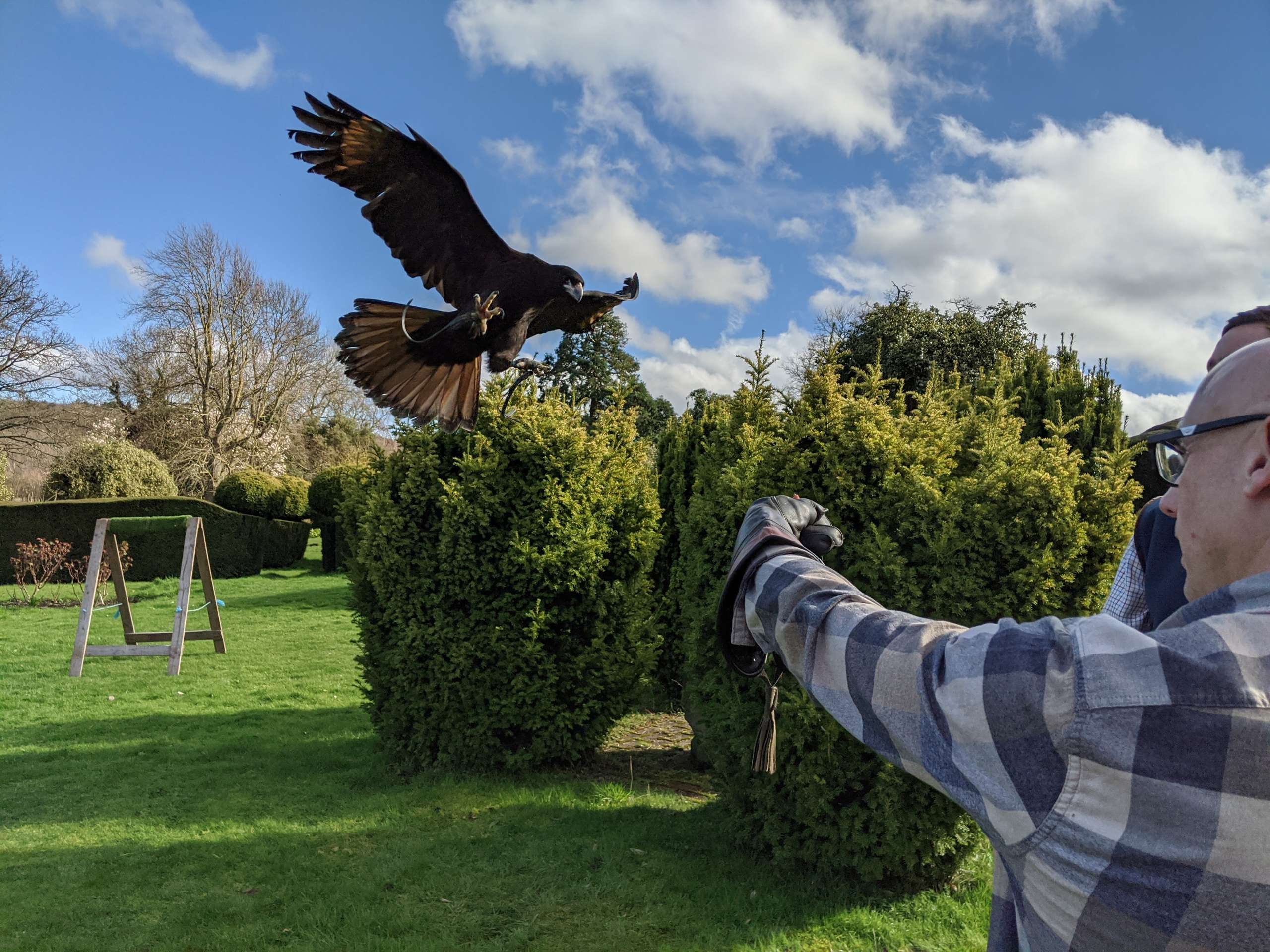 Visitor Information - Thirsk Birds of Prey Centre Thirsk Birds of Prey  Centre