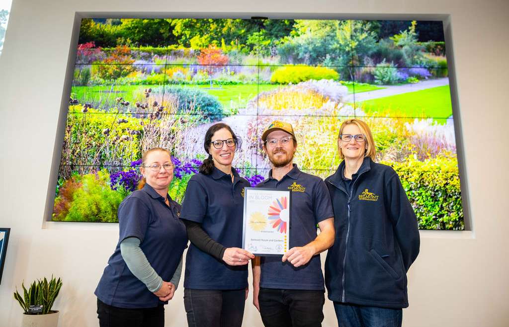  Gold Award for Our Kitchen Garden 