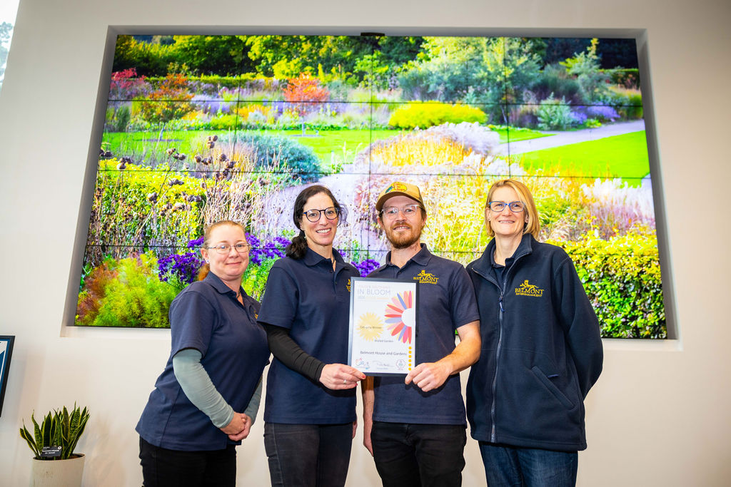  Gold Award for Our Kitchen Garden 