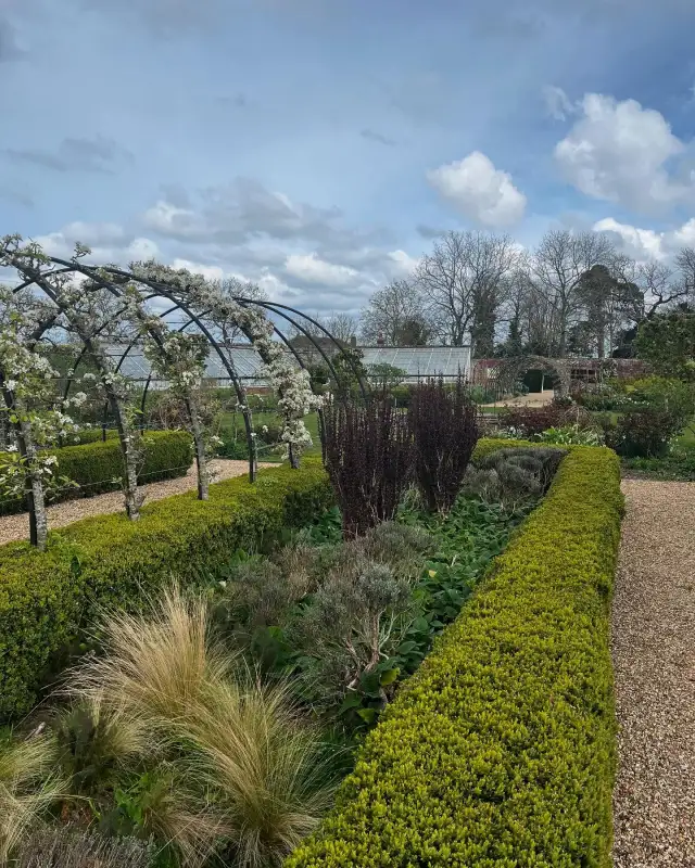 Discover Belmont this Spring 🌸
.
.
.
#belmonthouseandgardens #gardenstovisit #kitchengarden #blossom #pearblossom #appleblossom #gw2for1 #spring #favershamkent #kent